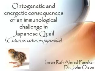Ontogenetic and energetic consequences of an immunological challenge in Japanese Quail ( Coturnix coturnix japonica )