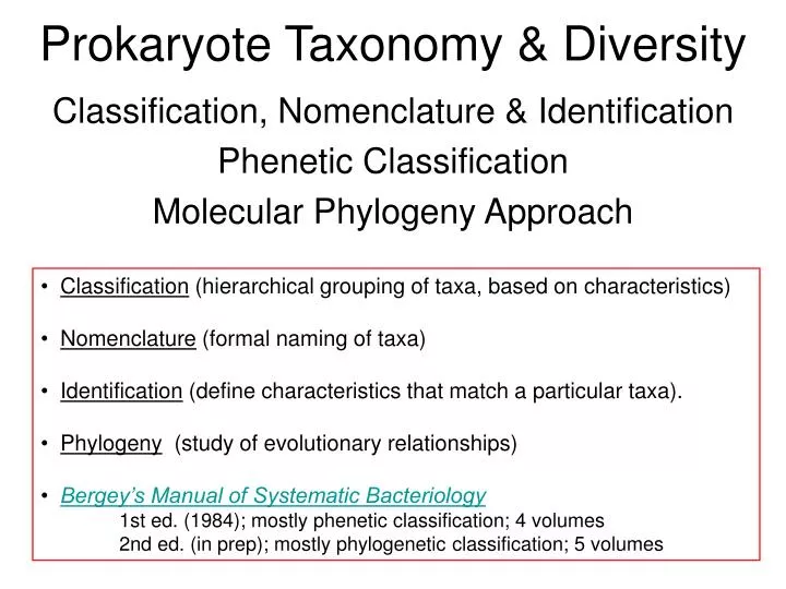 prokaryote taxonomy diversity