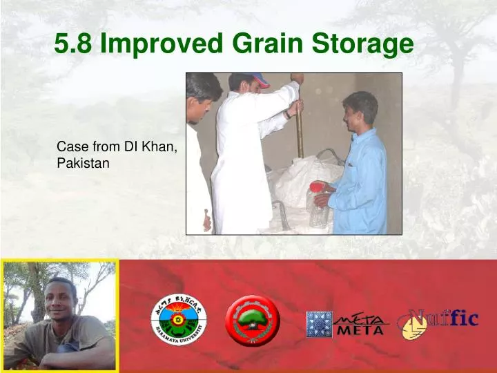 5 8 improved grain storage