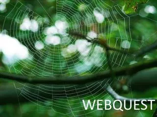 WEBQUEST