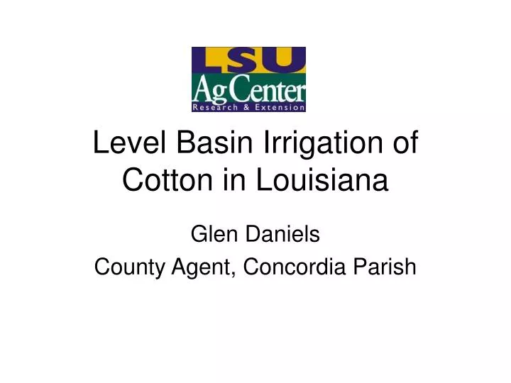 level basin irrigation of cotton in louisiana