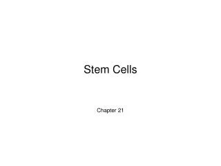 Stem Cells