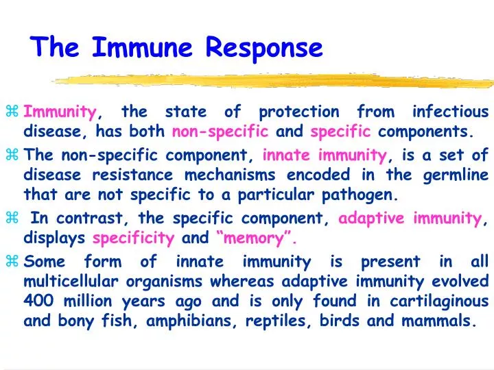 the immune response