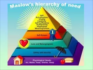 Maslow's hierarchy of need