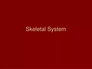 Skeletal System