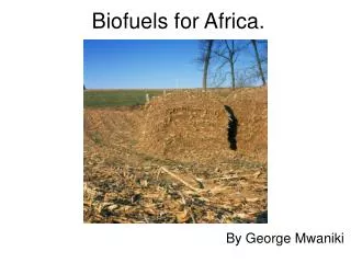 Biofuels for Africa.