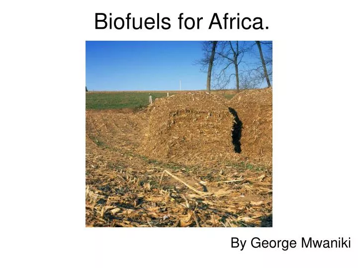 biofuels for africa