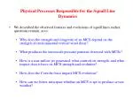 Physical Processes Responsible for the Squall Line Dynamics - slide 1
