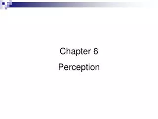 Chapter 6 Perception