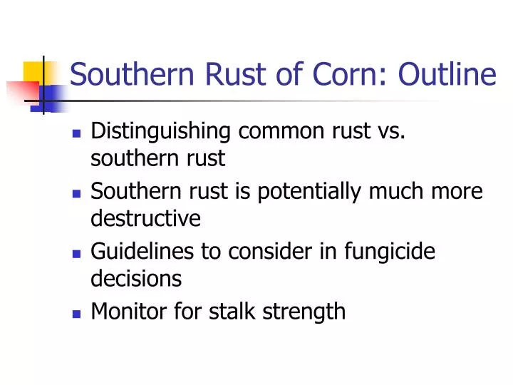 southern rust of corn outline