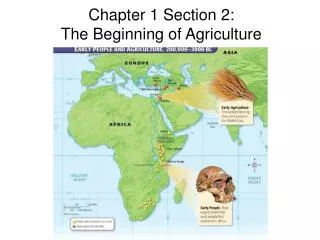 Chapter 1 Section 2: The Beginning of Agriculture