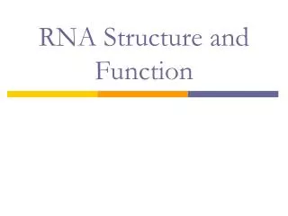 RNA Structure and Function