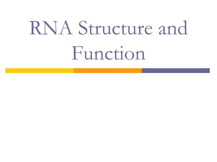 rna structure and function