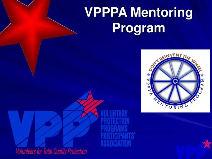 vpppa mentoring program