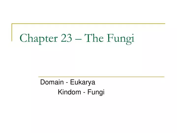 chapter 23 the fungi