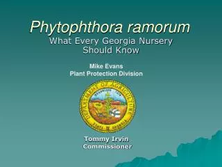 Phytophthora ramorum