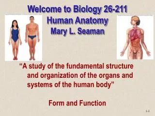 Welcome to Biology 26-211 Human Anatomy Mary L. Seaman