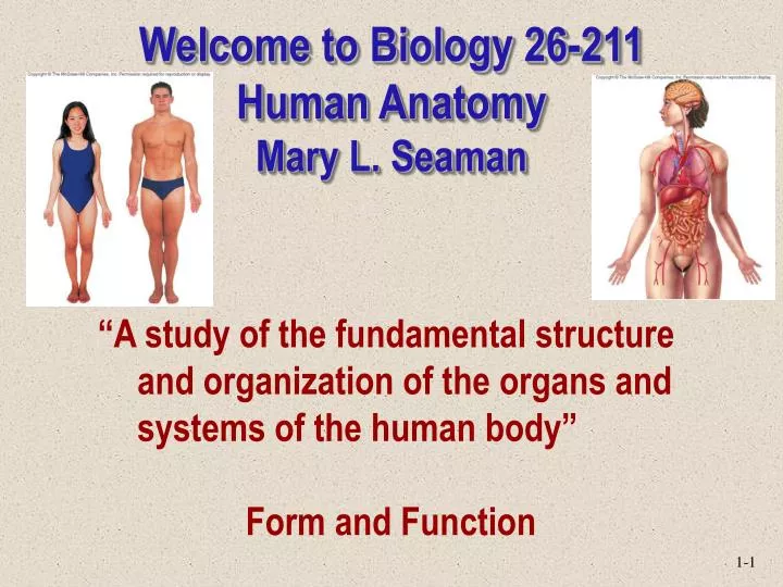 welcome to biology 26 211 human anatomy mary l seaman