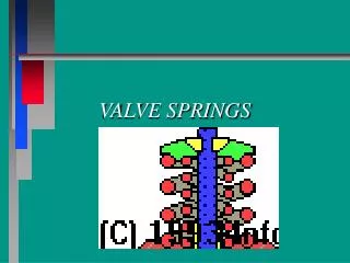 VALVE SPRINGS