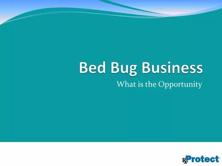 bed bug business