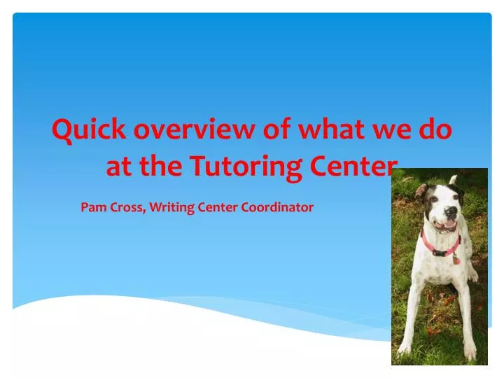quick overview of what we do at the tutoring center