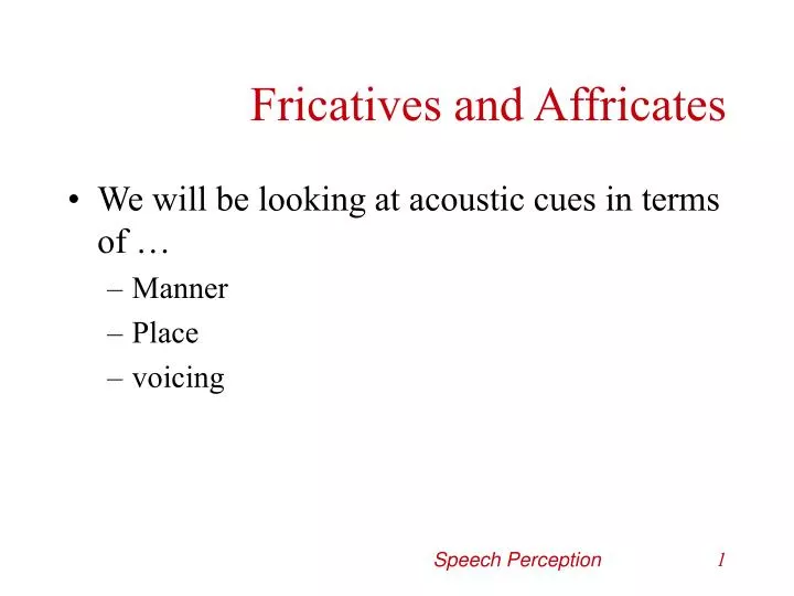 fricatives and affricates