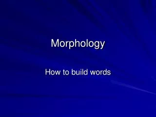 morphology