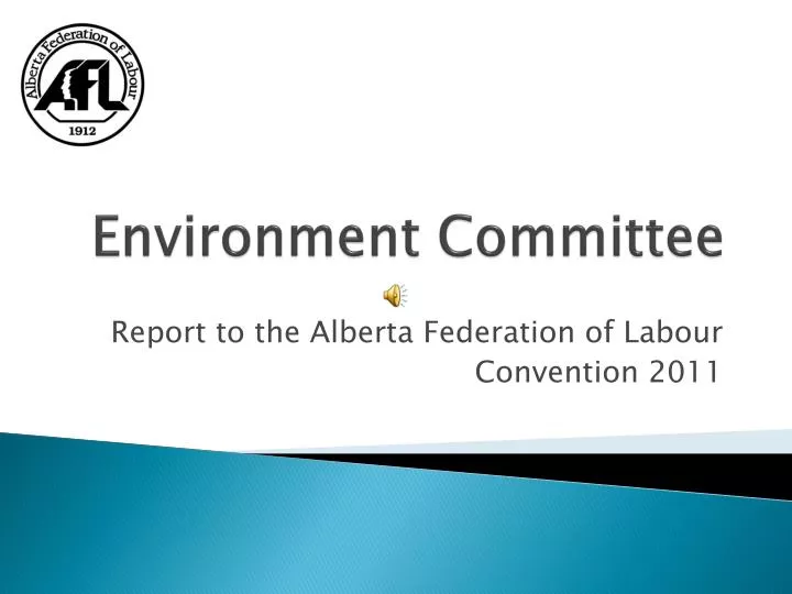 environment committee