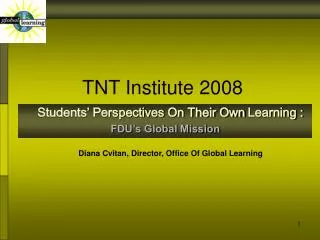 TNT Institute 2008