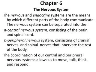 Chapter 6 The Nervous System