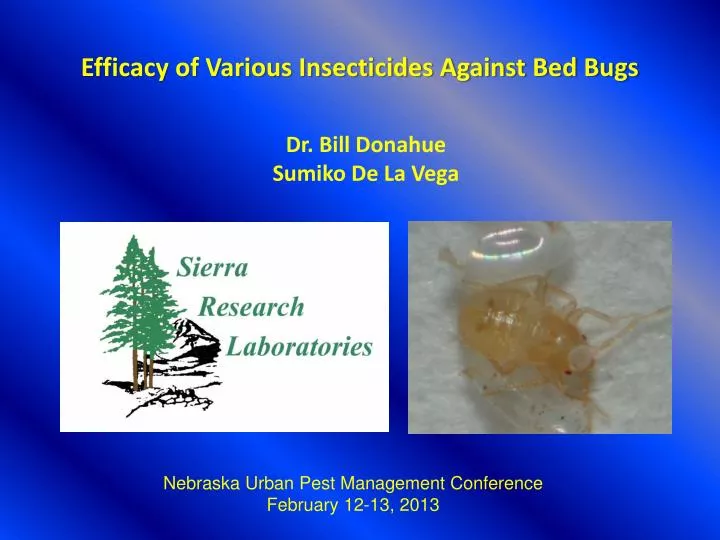 efficacy of various insecticides against bed bugs