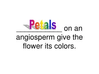 ___________ on an angiosperm give the flower its colors.