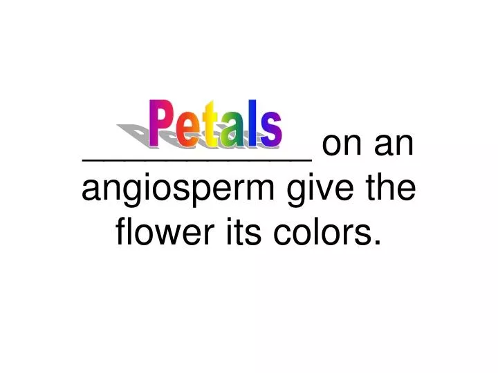 on an angiosperm give the flower its colors