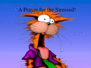 a prayer for the stressed
