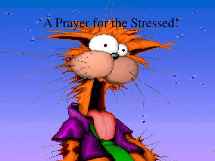 a prayer for the stressed