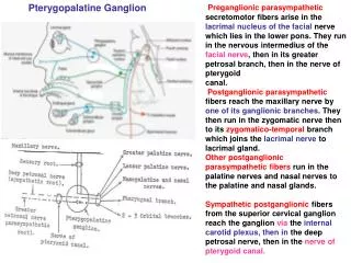 Pterygopalatine Ganglion