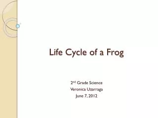 Life Cycle of a Frog