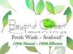 Fresh Wash Seafood™: 100% Natural Solution for Safer and Fresher Seafood - slide 1