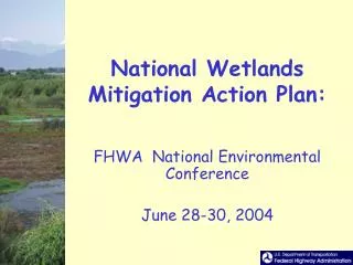 National Wetlands Mitigation Action Plan:
