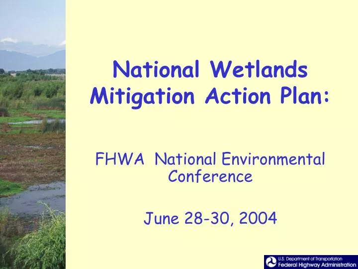 national wetlands mitigation action plan