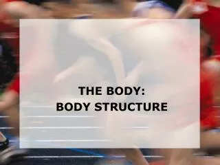 THE BODY: BODY STRUCTURE