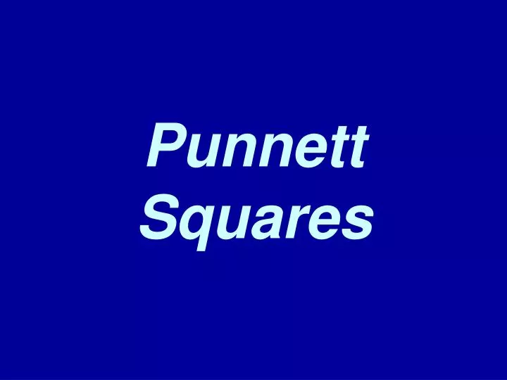 punnett squares