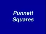 Punnett Squares - slide 1