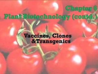 Chapter 6 Plant Biotechnology (contd.)