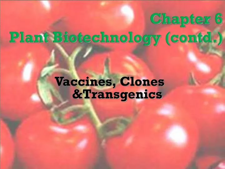 chapter 6 plant biotechnology contd
