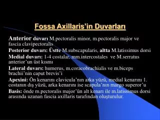 fossa axillaris in duvarlar