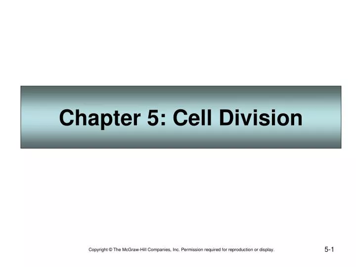 chapter 5 cell division