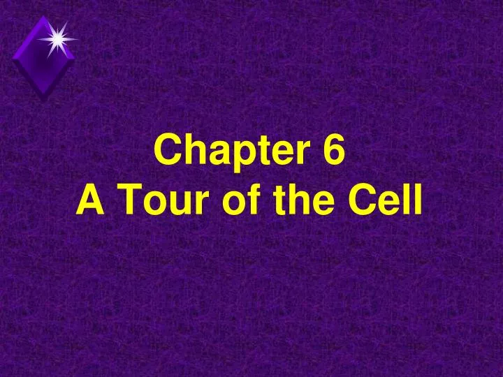 chapter 6 a tour of the cell