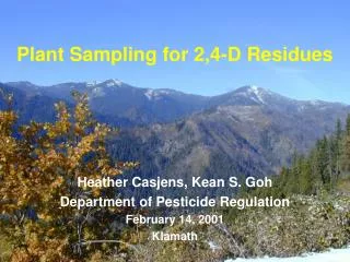Plant Sampling for 2,4-D Residues