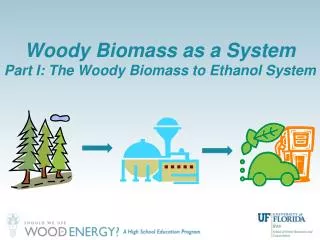 Woody Biomass as a System Part I: The Woody Biomass to Ethanol System